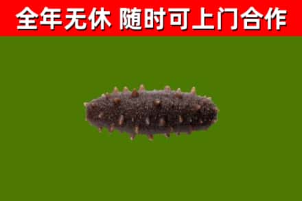 通河烟酒回收干海参.jpg